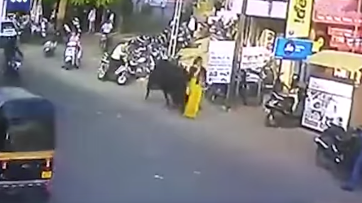 Bull sends woman flying through the air! (video)
